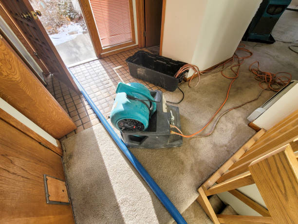 Best Carpet water damage restoration  in Penn Wynne, PA