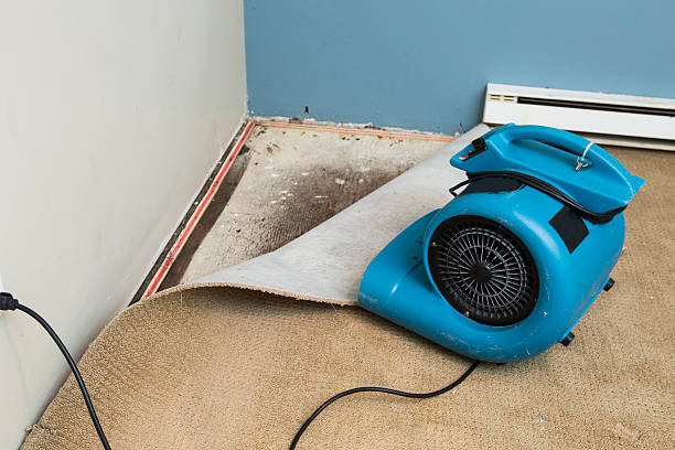 Best Flood restoration services  in Penn Wynne, PA